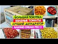 Очень большая ПОКУПКА / Вяленые ТОМАТЫ / ДЕГИДРАТОР сушилка RAWMID Dream PRO 2 / Vika Siberia Vlog