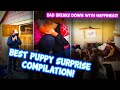 Dad Breaks Down With Happiness... The Best Puppy Surprise Gifts This Xmas| Puppy Compilation