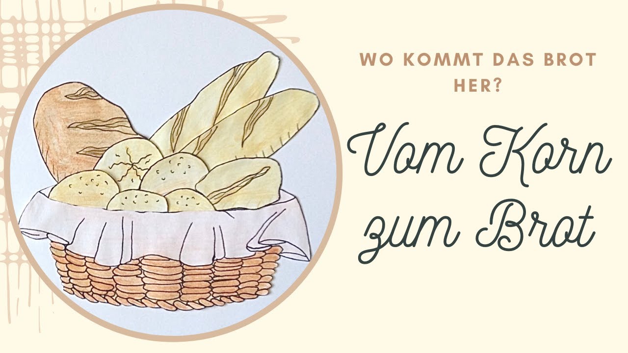 New Update Vom Korn zum Brot: Wo kommt das Brot her?