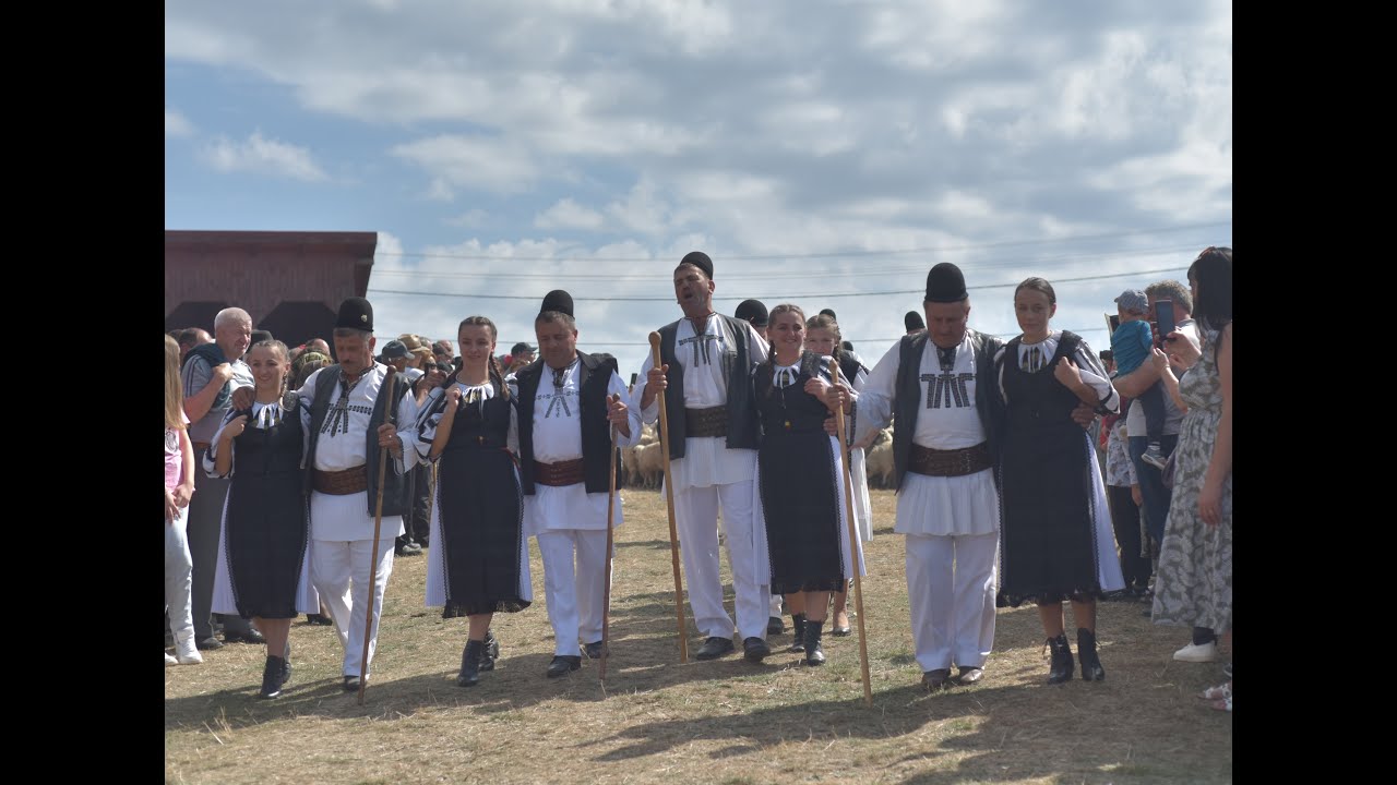 Coboratul oilor la Loman, editia a XI-a | 10 septembrie 2023