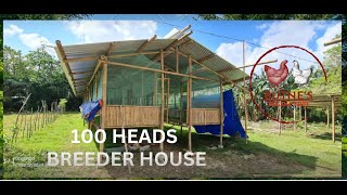 BREEDER HOUSE : PHASE 2 PROJECT(DOMINANT CZ PROGRAM) #backyardfarming #poultryfarming #foodsecurity