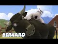 Bernard Bear | Bullfighting AND MORE | Cartoons for Children