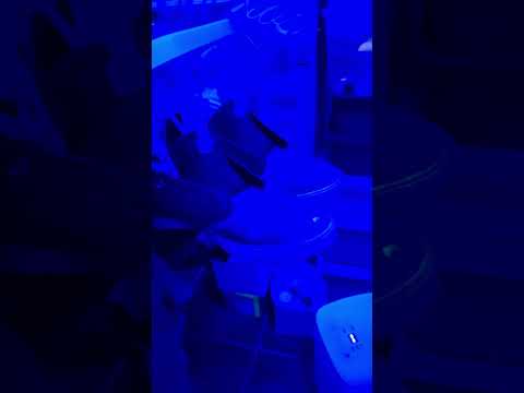 Como secar la
