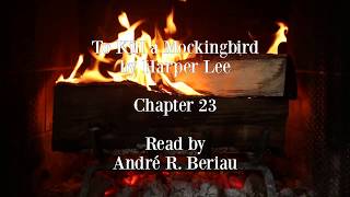 To Kill a Mockingbird Chapter 23