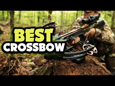 ✅ 5 Best Crossbow For The Money In 2023 [Buying Guide]