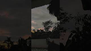 Youre Gonna  Forever In Me  John Mayer shorts  guitar tiktok viralditiktok cover