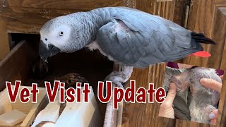 Einstein's Followup Avian Vet Visit with Dr. O