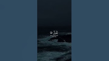 القران الكريم تلاوه خاشعة | سوره العنكبوت | شيخ سلام صبحي