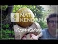 Oscar ealand  nativ kendama proteam