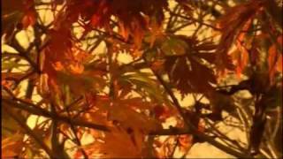 Vivaldi Autumn The Four Seasons