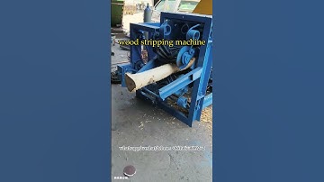 Wood log debarking machine for tree bark removal #debarker #woodprocessing #woodpeelingmachine