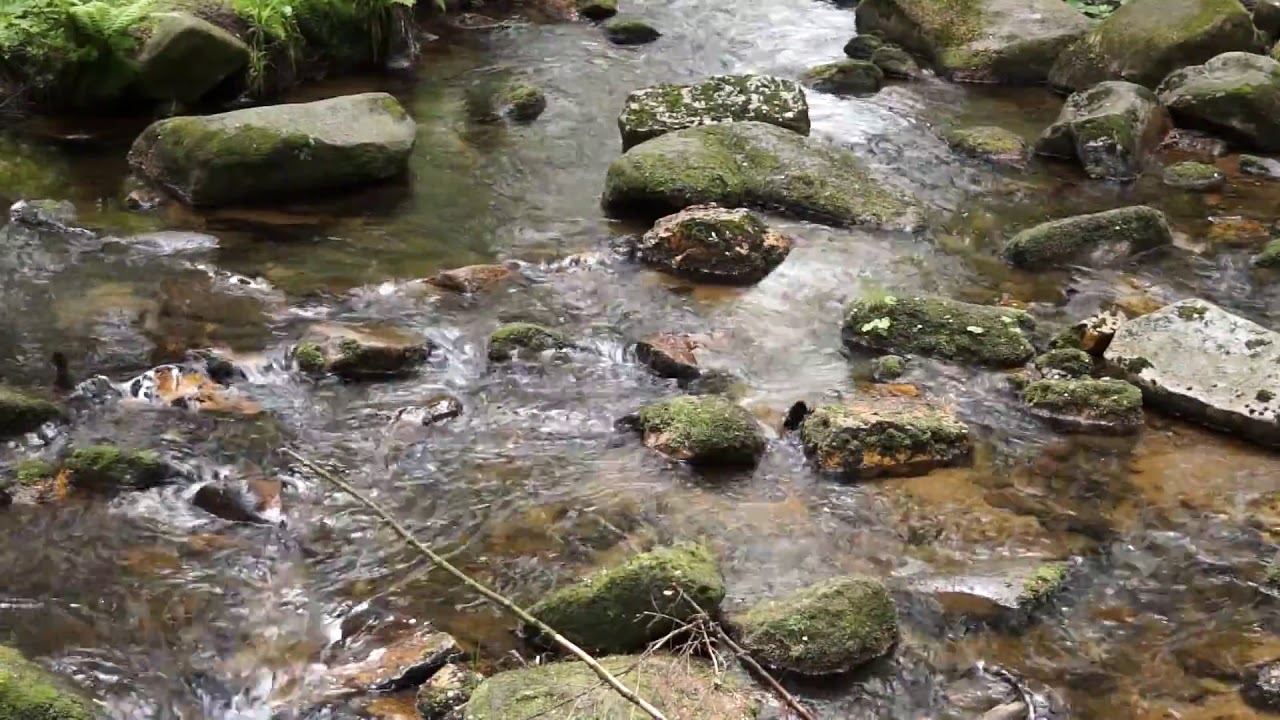 Шум воды для детей. Видео шум воды. Журчание воды звук. Мелодия журчание воды. Звуки природы для релаксации детей