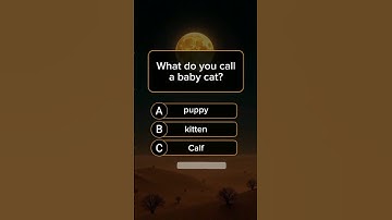 Algemene kennisquiz #shortsfeed #ytshorts #shortsbeta #quiz #youtubeshorts #algemenekennis