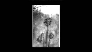 Kammarheit - The Ruins of the Serene