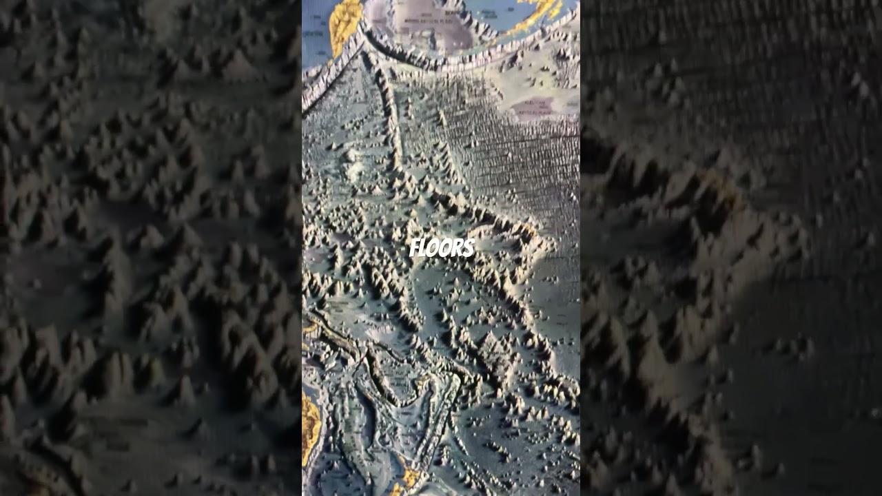 Map of the ocean floors.