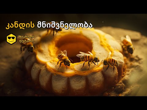 კანდის მნიშვნელობა