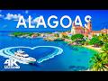 Alagoas 4K Drone Footage | Lagoon Coast House Mix 🌊 Maragogi Reefs, Clear Waters &amp; Sunset Vibes