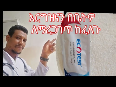 ቪዲዮ: በውሻ ውስጥ የውሸት እርግዝናን እንዴት ማከም እንደሚቻል