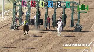 Horse races on February 8, 2026 at the Hermosillo Hippodrome