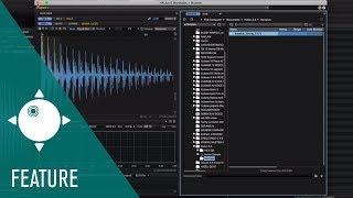 New Pitch Analysis in Wavetable Editor, New Scripting and More | New Features in HALion 6.3