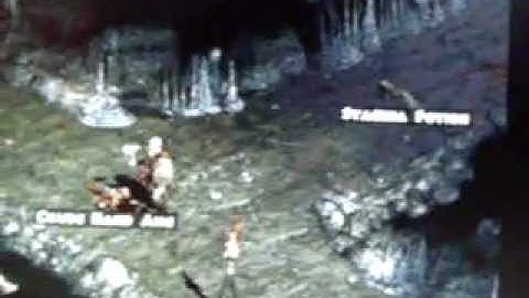 Diablo 2 on OpenPandora via Qemu 2