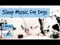 Extra Long Dog Sleep Music Playlist! Over 8 Hours of Sleep Music for Dogs and Puppies