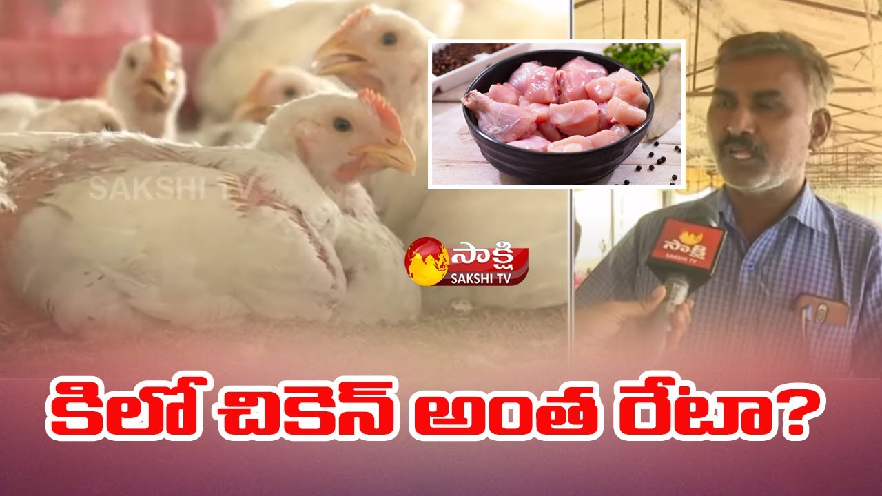 Hyderabad Chicken Price Today | Chicken Latest Price & Mandi Rates ...