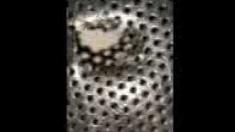 Shot the screen!