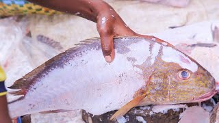 Amazing Cutting Skills - Giant Grouper Fish Cutting By Expert Fish Cutter