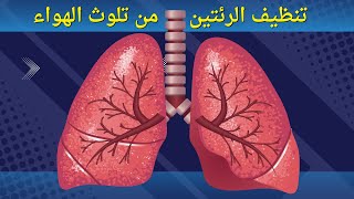 معلومات طبية | مهم جدا .. تنظيف الرئتين من تلوث الهواء