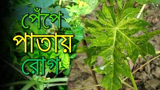 পেঁপে চারায় রোগ বালাই থেকে সমাধান । পেঁপে বালাইনাশক