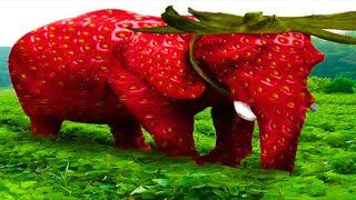 Strawberry Elephant meme Resimi