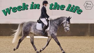 Week in the Life Of My Horse Joey! This Esme AD