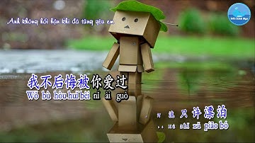Anh Không Hối Hận (我不后悔) – Lâm Chí Dĩnh (林志颖) (Karaoke – 卡拉OK)