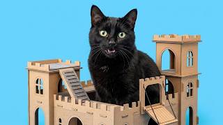 Creative Cardboard Cat Castle Challenge! 🐾🏰 Fun Pet Project Transformation 🤩✨