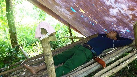 Cuộc Sống Của Người H