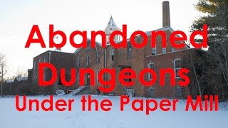 Abandoned Dungeon Under the Paper Mill