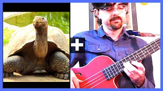 U-Bass Duet: On Noble - Tortoise