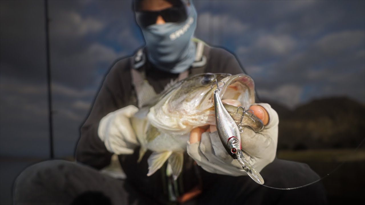 Cold water Bass fishing “there up shallow”