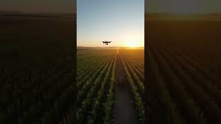Wild Boar Caught by Drone! | Smart Farm Security System