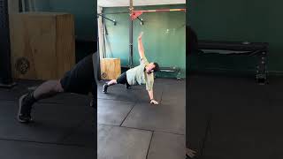 T Plank Rotations