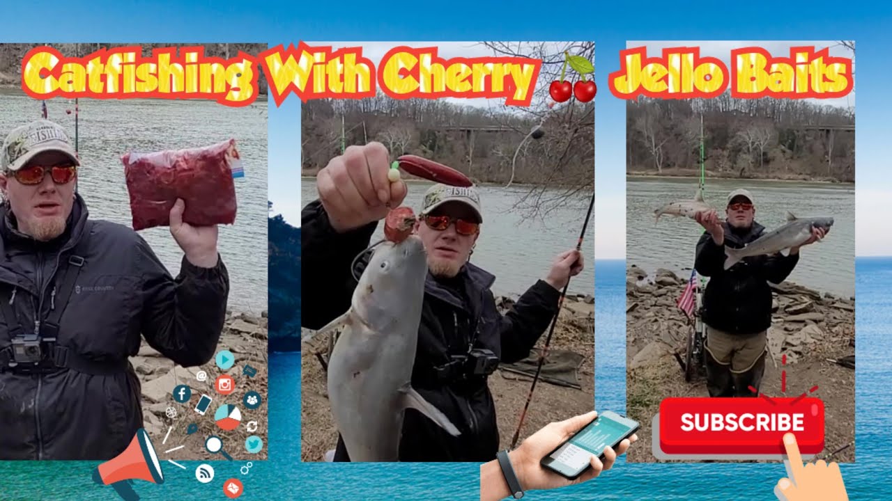 Catfishing With Cherry Jello Baits In DC YouTube