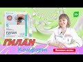 Глазные капли Гилан:  увлажнение глаза (роговицы и конъюнктивы)