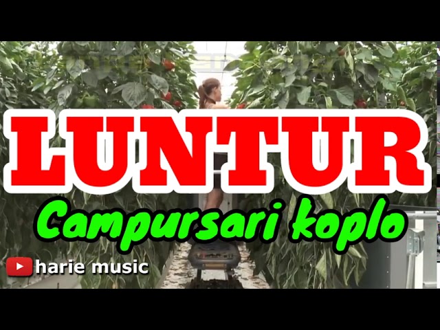 Tanpa kendang - LUNTUR cover | campursari koplo version class=