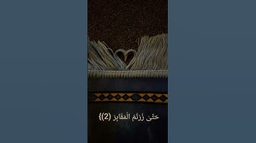 سورة التكاثر للقارء: ماهر المعيقلي
