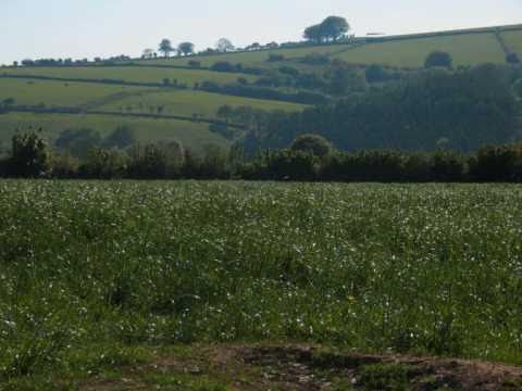 Don't let Devon go to waste on 5th may