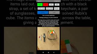 VisionAssistant app Demo video Wealth
