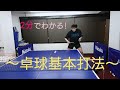 【卓球】2分でわかる！基本打法(シェークver)