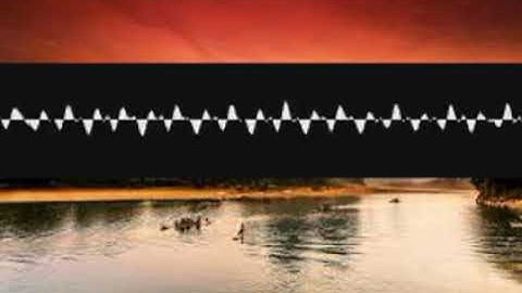 Zoomusicologymarriage Filmmaking erepcyggwb