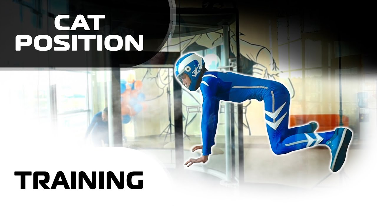 Cat position - training with everybody (Leo & Students) - YouTube